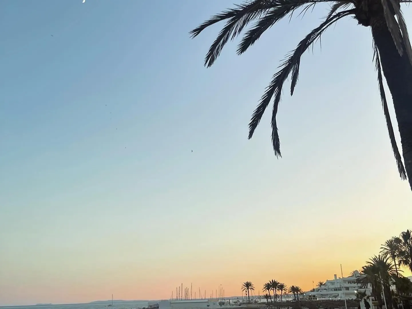 Serenity Luxury , Puerto Banus Marbella